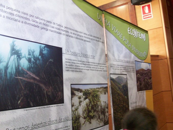 Exposici�n Did�ctica Galicia.Biodiversidade