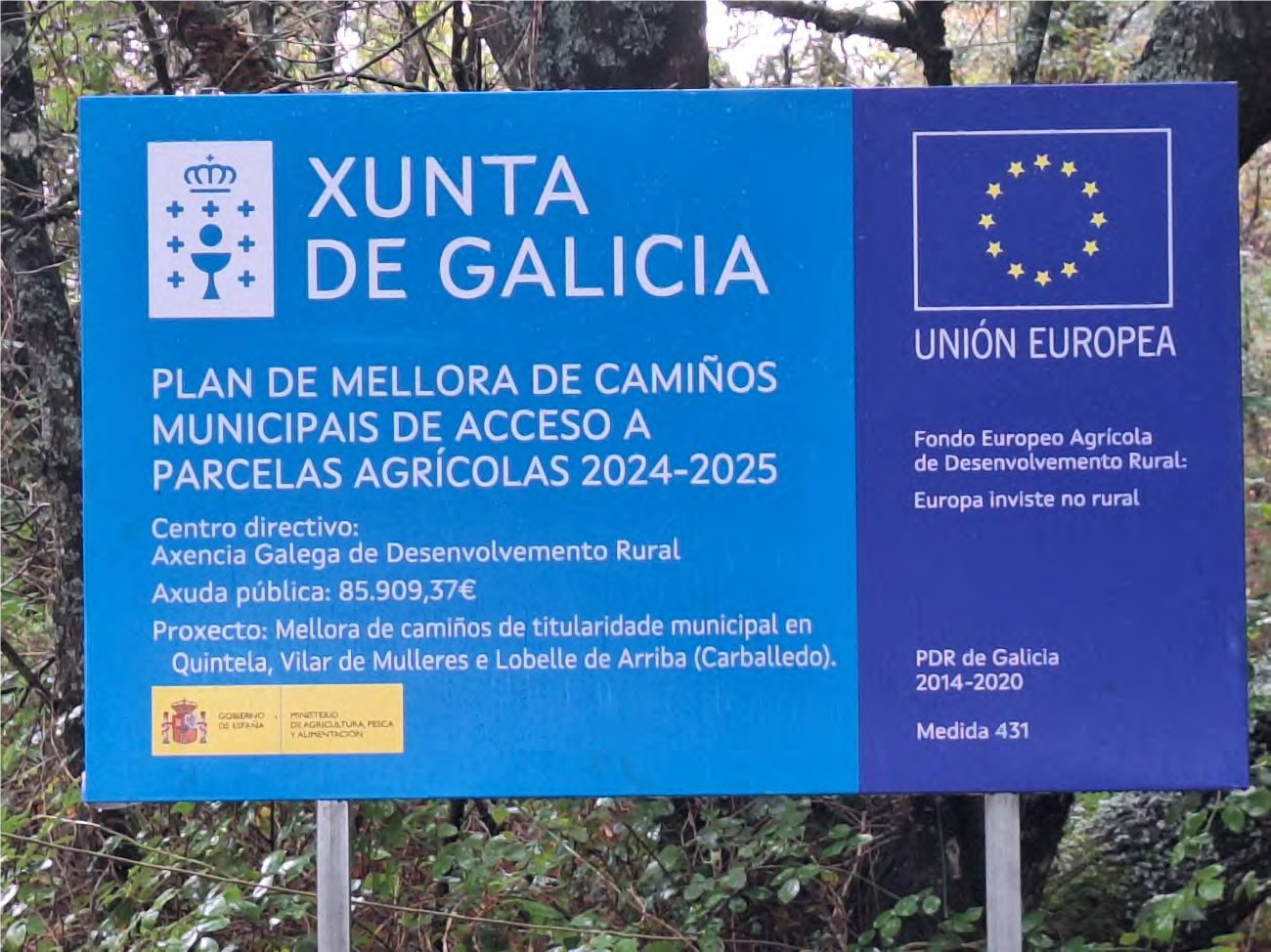 Imagen noticia