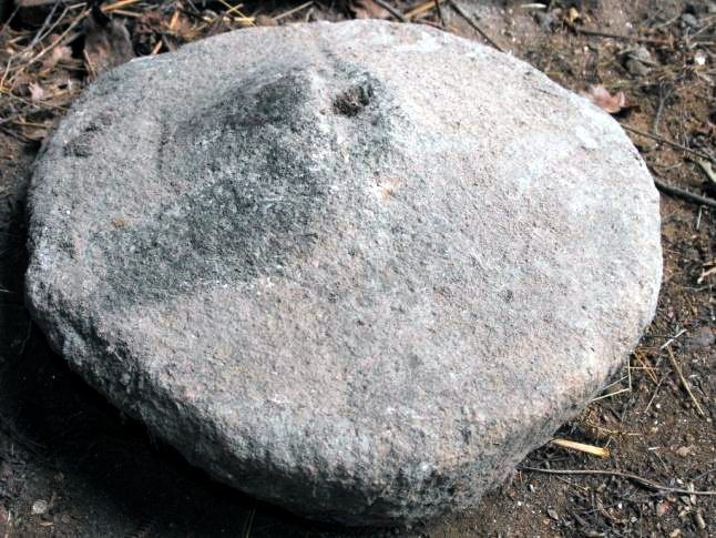 Pedra de muíño castrexo atopada en Carballedo